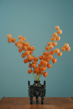 Bronze tripod vessel with Physalis bouquet against teal blue wall